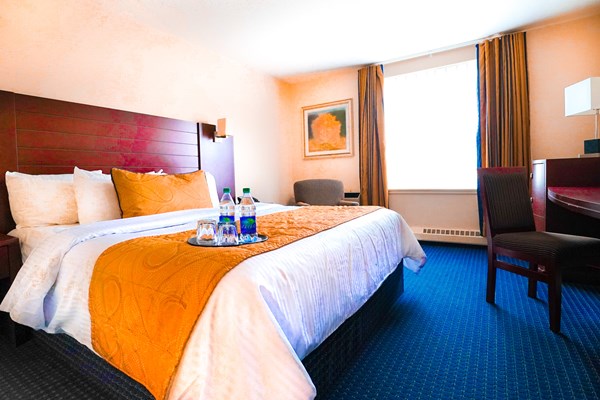 One King Bed